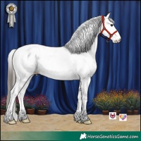 Horse Color:White Spotted Bay
