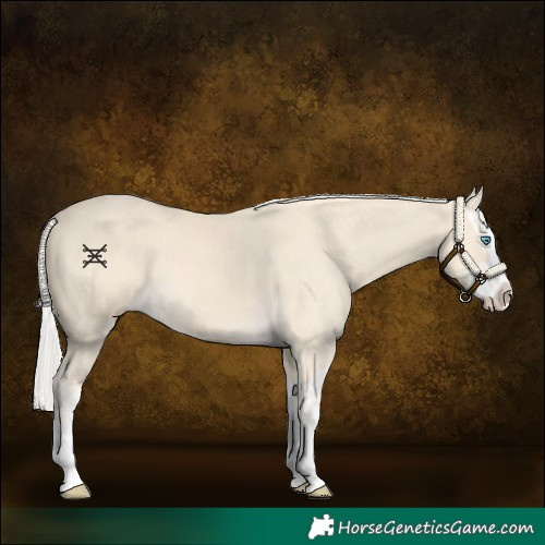 Horse Color:Cremello Splash  and Cremello Splash 