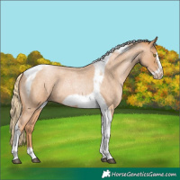 Horse Color:Red Roan Pearl Tobiano Frame 