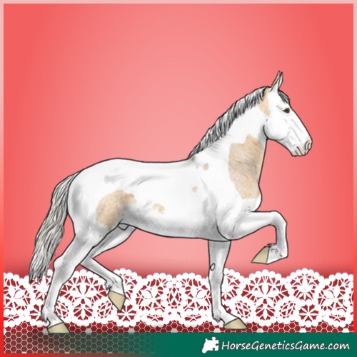 Horse Color:Silver Buckskin Roan Dun Splash Tobiano 