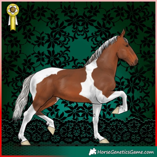 Horse Color:Silver Brown Tobiano 