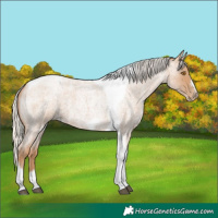 Horse Color:Silver Blue Roan Pearl Tobiano Frame 