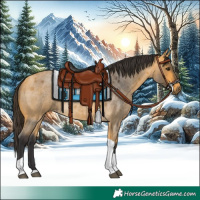 Horse Color:Buckskin Roan Tobiano
