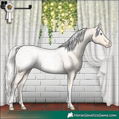 Horse Color:Silver Perlino Roan Tobiano Blanket