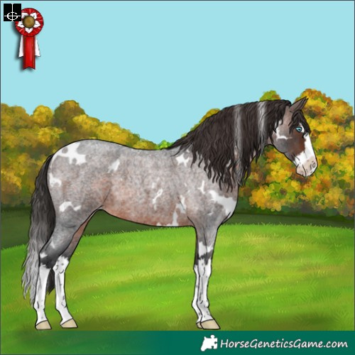 Horse Color:White Spotted Brown Roan Splash Skewed LP Spotted