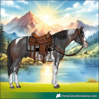Horse Color:Brown Sabino Tobiano Rabicano