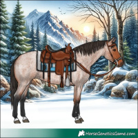 Horse Color:Bay Roan 