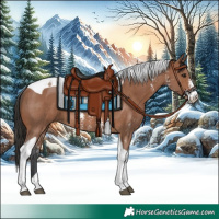 Horse Color:Bay Sabino Tobiano