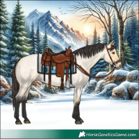 Horse Color:Buckskin Roan Dun