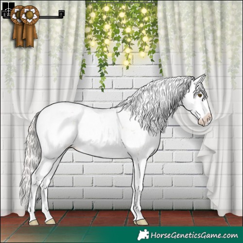 Horse Color:Silver Brown Pearl Onyx Sabino Splash Appaloosa 