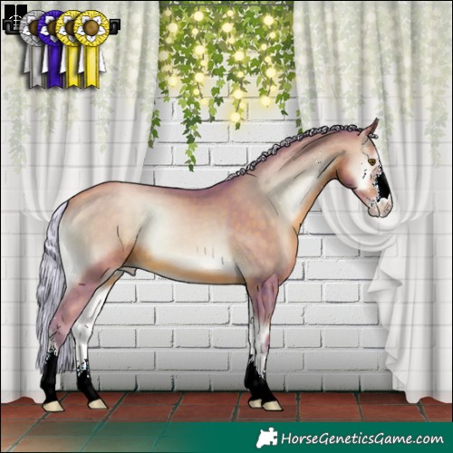 Horse Color:Watercolor Silver Brown Pearl Onyx Sabino 