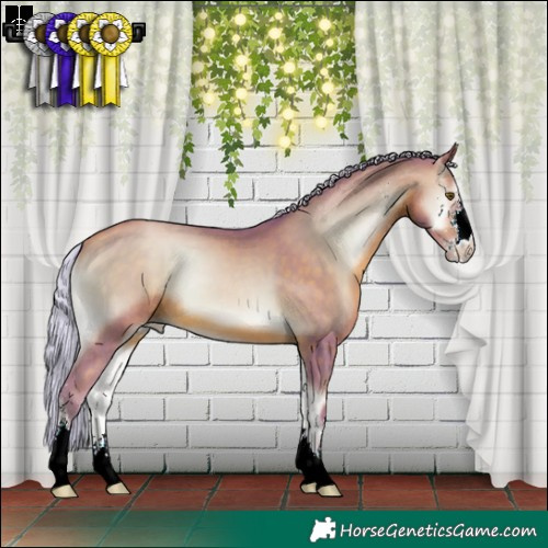 Horse Color:Watercolor Silver Brown Pearl Onyx Sabino 