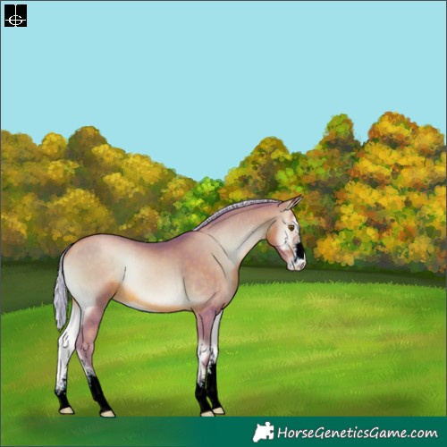 Horse Color:Watercolor Silver Brown Pearl Onyx Sabino 