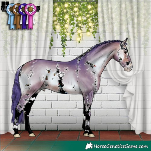 Horse Color:Watercolor Bay Onyx Sabino 