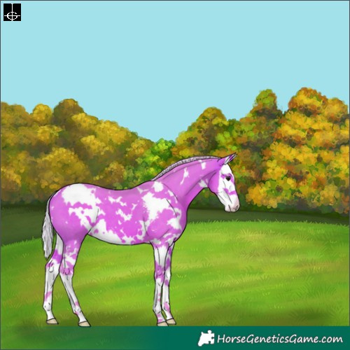 Horse Color:Watercolor White Spotted Silver Bay Sabino Splash 
