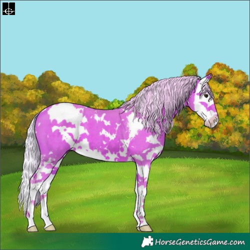 Horse Color:Watercolor White Spotted Silver Bay Sabino Splash 