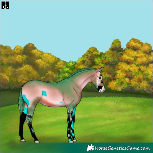Horse Color:Watercolor Bay Onyx Splash 