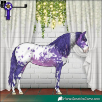 Horse Color:Watercolor White Spotted Brown Sabino Appaloosa