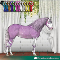 Horse Color:Watercolor Silver Bay Splash