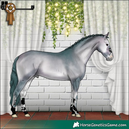 Horse Color:Watercolor Bay Onyx 