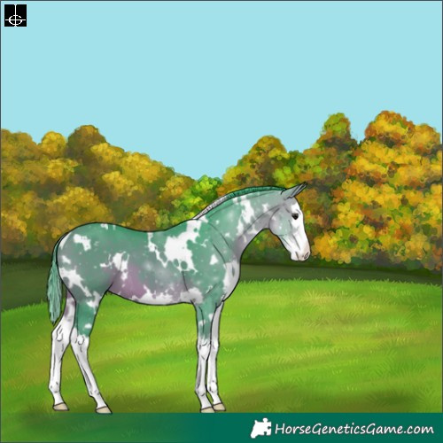 Horse Color:Watercolor White Spotted Bay Sabino Splash