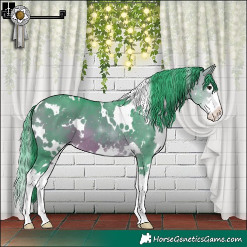 Horse Color:Watercolor White Spotted Bay Sabino Splash 