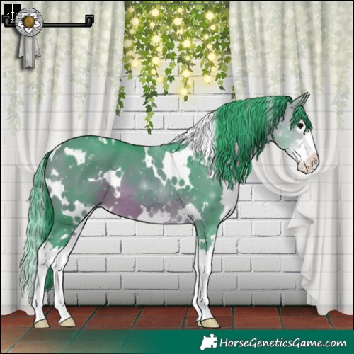 Horse Color:Watercolor White Spotted Bay Sabino Splash 