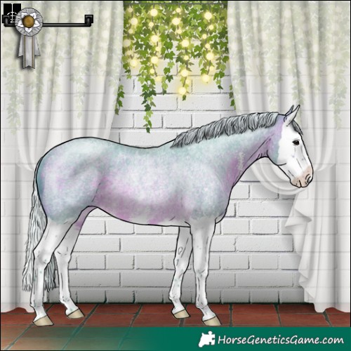 Horse Color:Watercolor Silver Brown Roan Sabino Splash Rabicano 