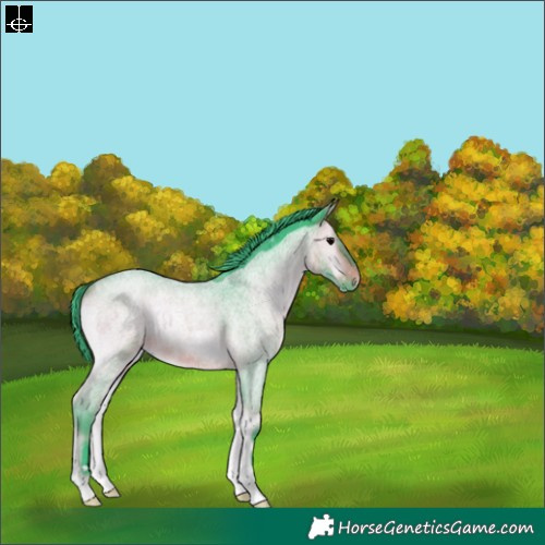 Horse Color:Watercolor Bay Roan Onyx 
