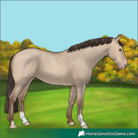 Horse Color:Amber Champagne Dun Brindle