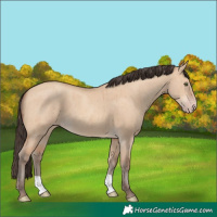 Horse Color:Amber Champagne Dun Brindle 