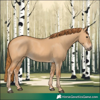 Horse Color:Red Dun 