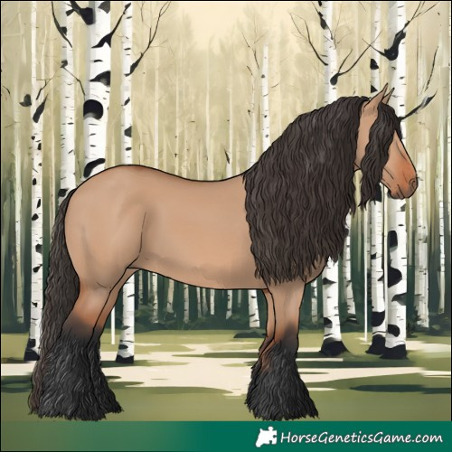 Horse Color:Bay Dun