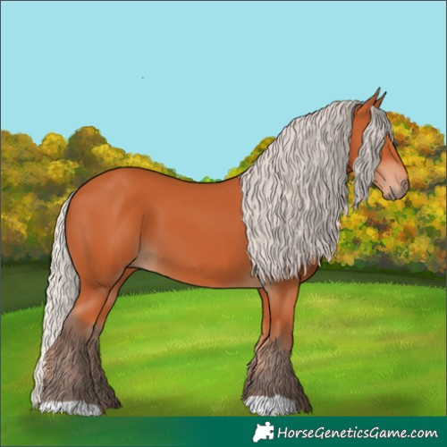 Horse Color:Silver Bay 
