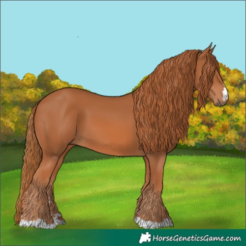 Horse Color:Chestnut 