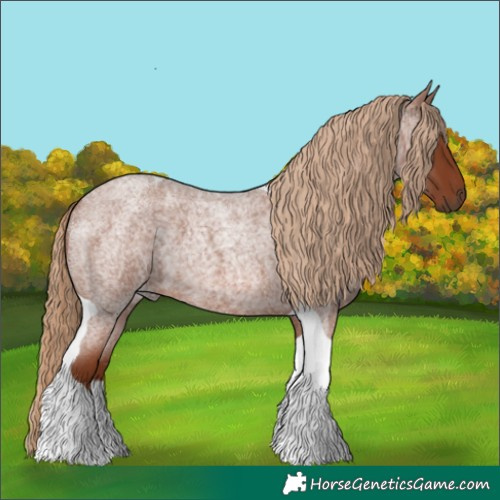 Horse Color:Red Roan Tobiano 