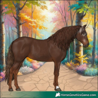 Horse Color:Gray Chestnut