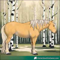 Horse Color:Palomino 