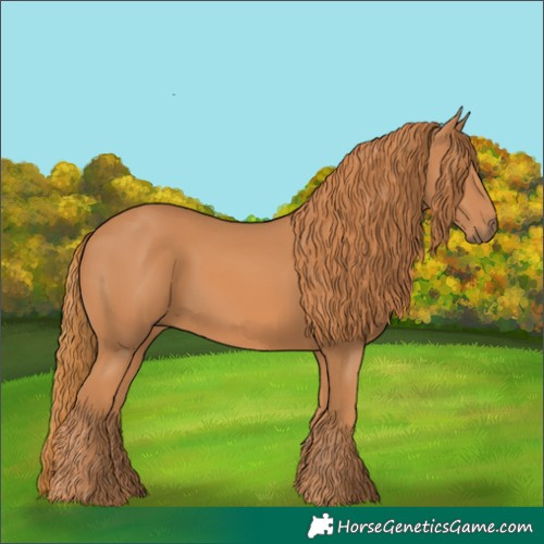Horse Color:Chestnut 