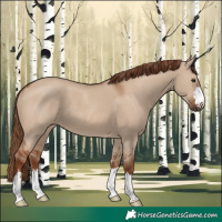 Horse Color:Red Dun 