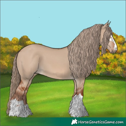 Horse Color:Red Dun 