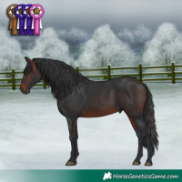 Horse Color:Brown 
