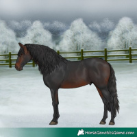 Horse Color:Brown 