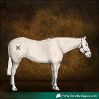Horse Color:Cremello Splash  and Cremello Splash 