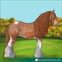 Horse Color:Chestnut Ice Tobiano