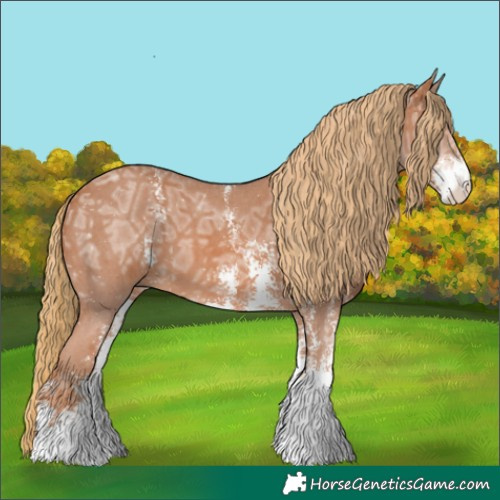 Horse Color:Chestnut Ice Sabino 