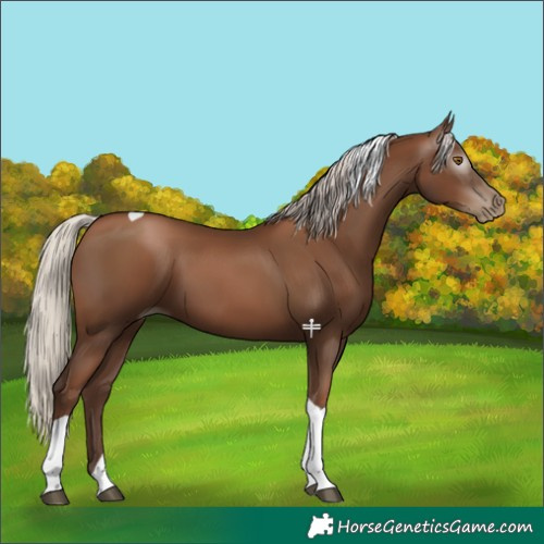 Horse Color:Gray Silver Black Pearl Tobiano 