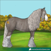 Horse Color:White Spotted Silver Black Varnish Rabicano