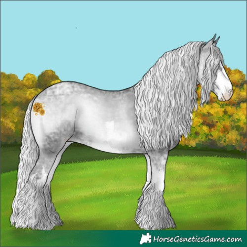 Horse Color:White Spotted Silver Blue Onyx Chinchilla Ice Varnish Rabicano 