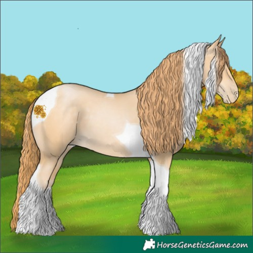 Horse Color:Buckskin Pearl Tobiano 